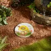 HOME SWEET HOME  STEPPING STONE